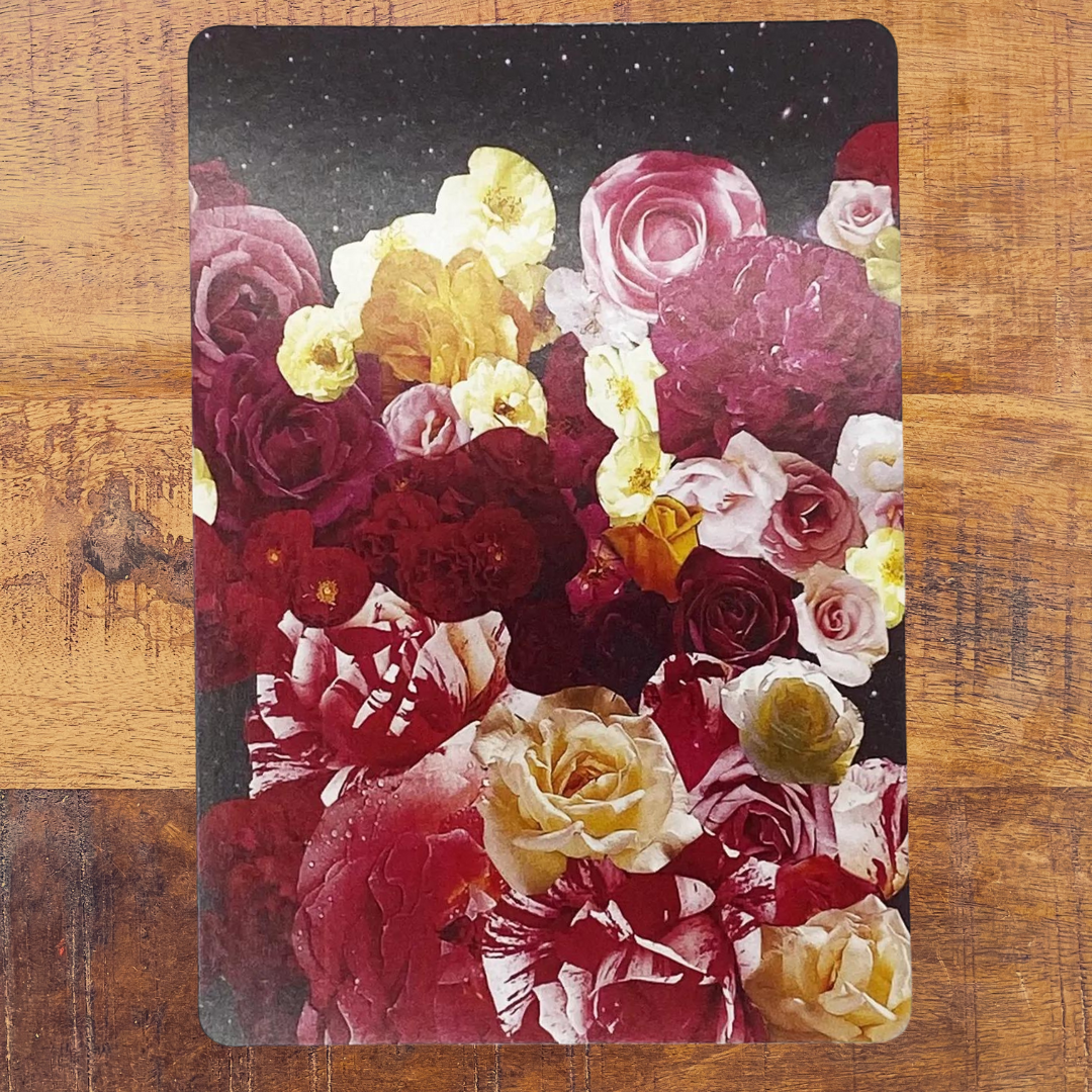 The Lioness Oracle Tarot