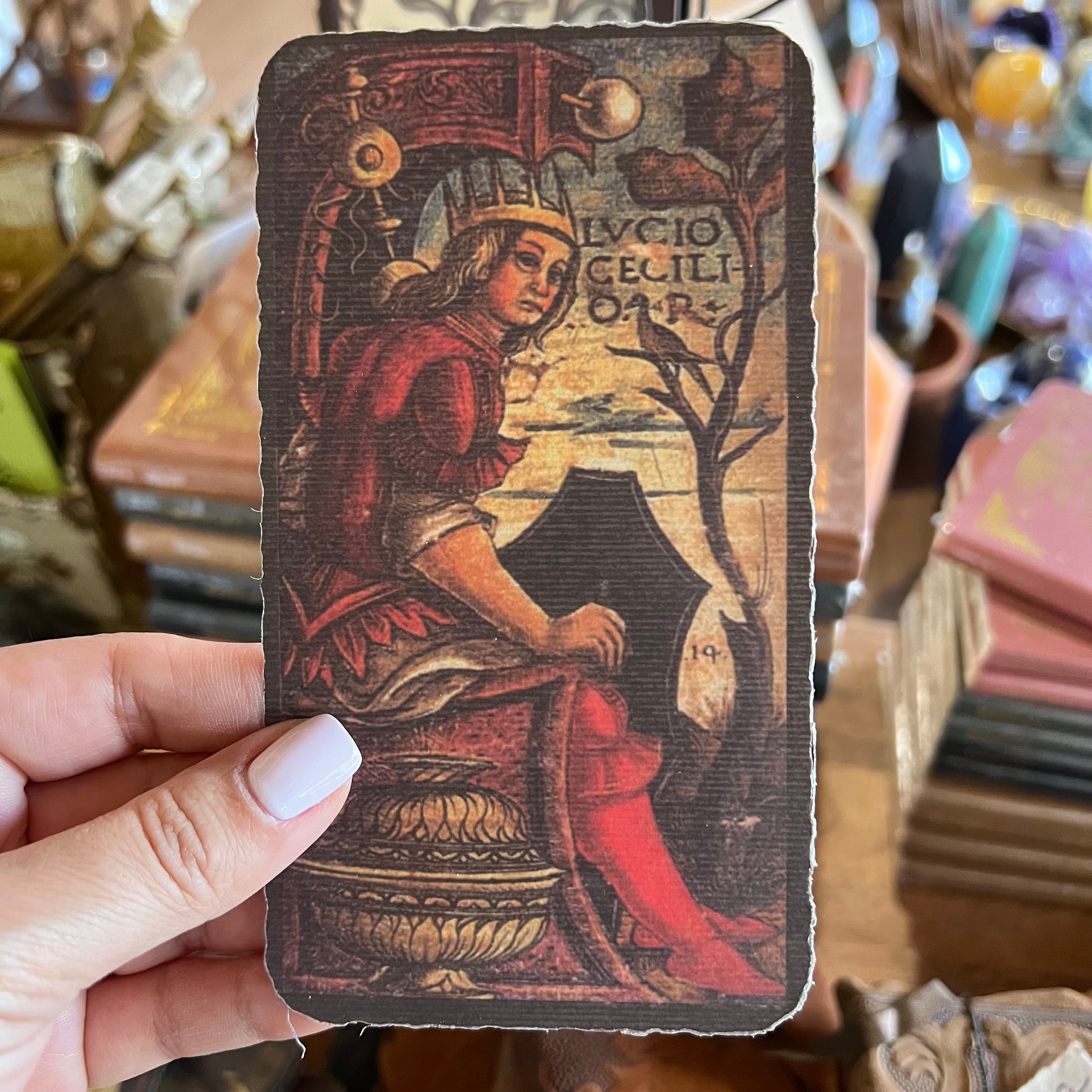 Solo Busca Tarot – Shoppe Aphrodite