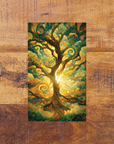 The Path of Light Oracle