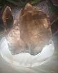 Smokey Quartz Cluster with Rutile