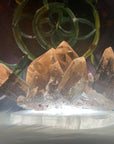 Smokey Quartz Cluster with Rutile